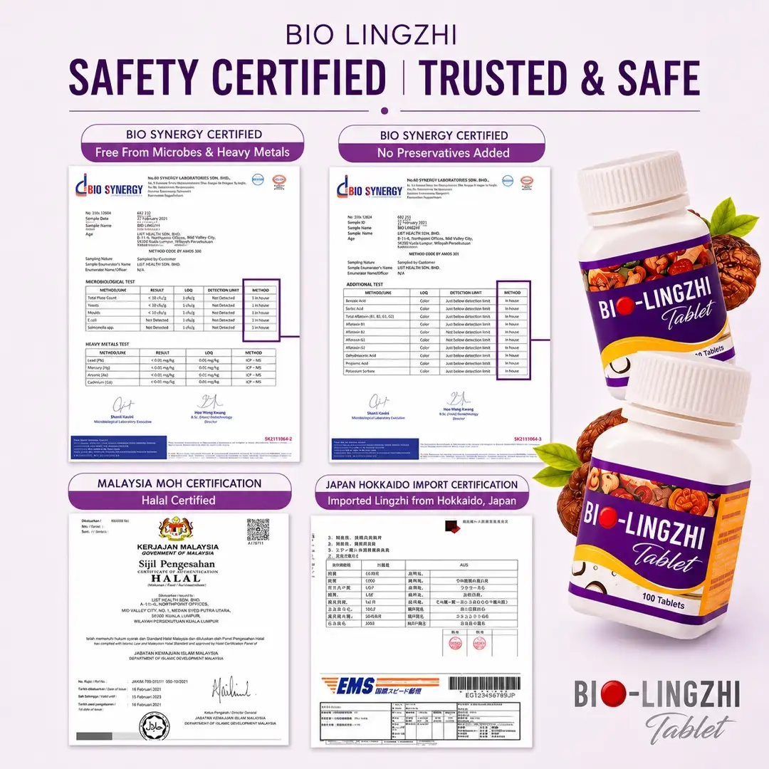 Safety certification